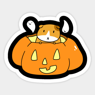 Jack O' Lantern Guinea Pig Sticker